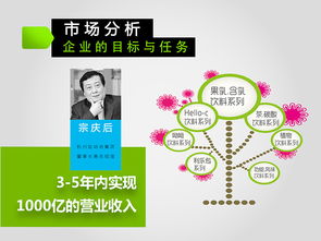 激活品牌新活力 娃哈哈2013-2016年度市場(chǎng)營(yíng)銷策劃方案